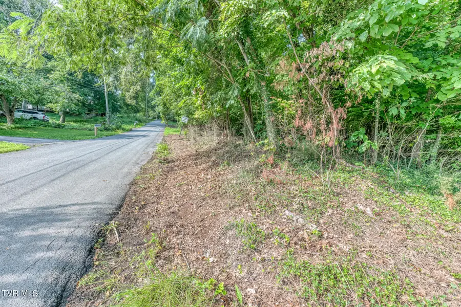 Tbd Angeline Drive, Johnson City, TN 37615 - #2