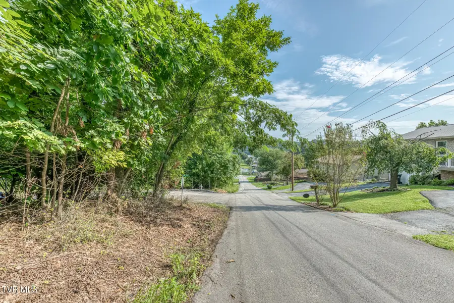 Tbd Angeline Drive, Johnson City, TN 37615 - #3
