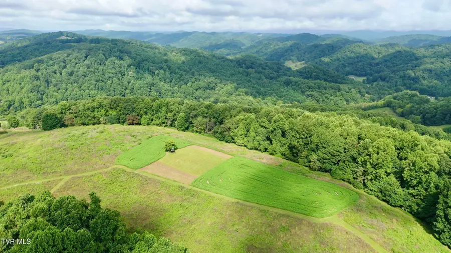 4040 Highway 70, Eidson, TN 37731 - #2