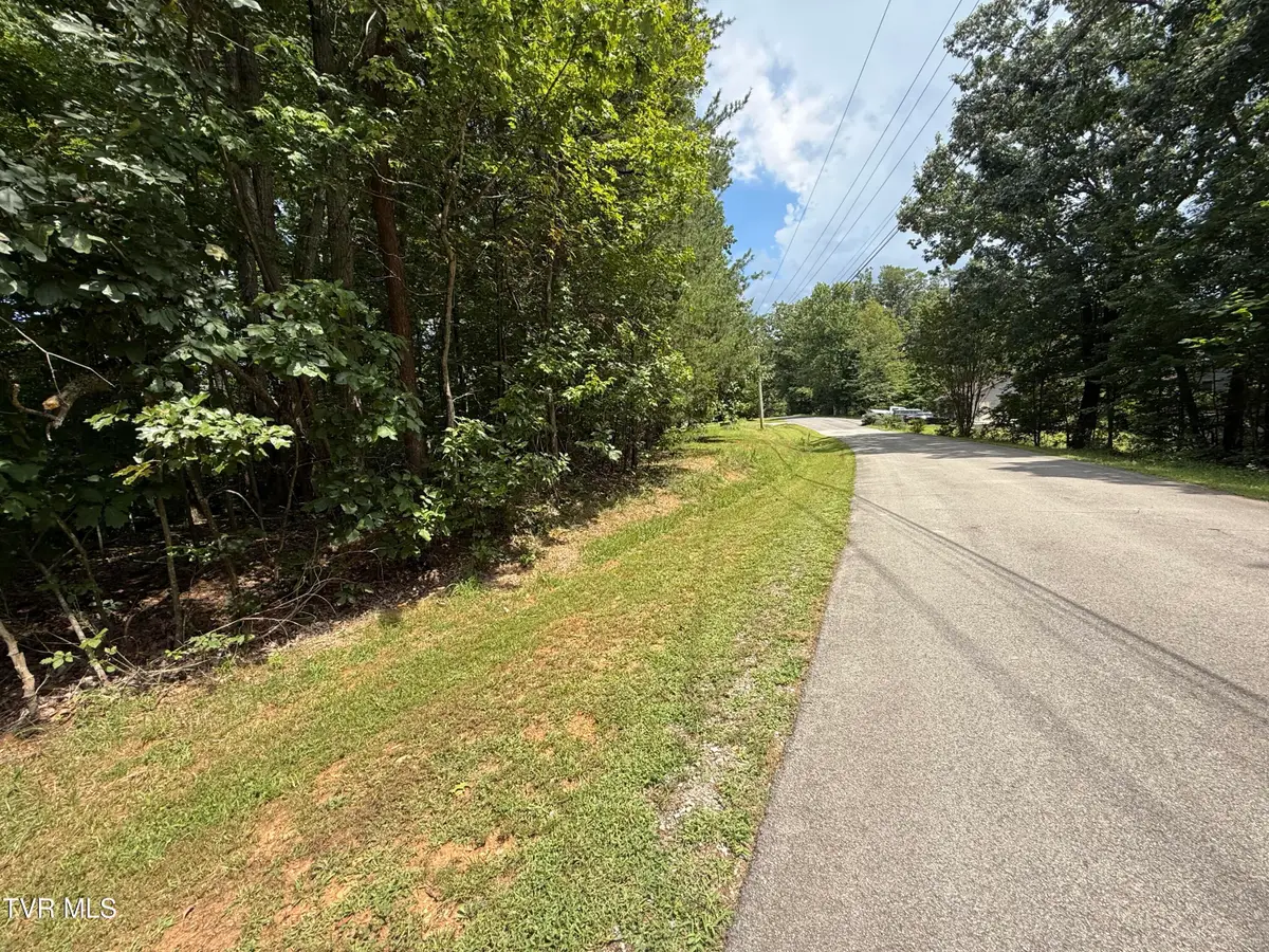 Tbd Iron Gate Drive #969, Baneberry, TN 37890 - #1