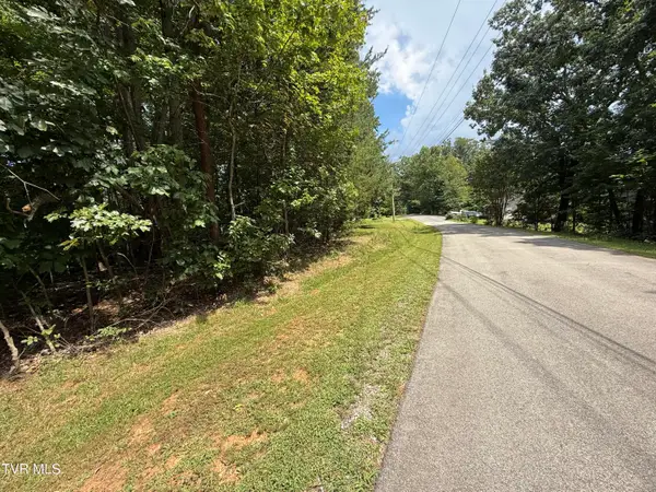 Tbd Iron Gate Drive #969, Baneberry, TN 37890