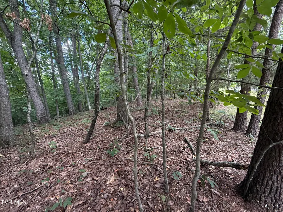 Tbd Iron Gate Drive #969, Baneberry, TN 37890 - #2