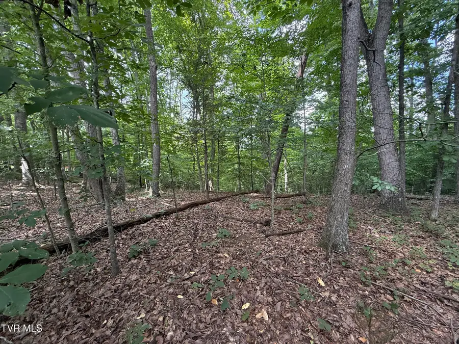 Tbd Iron Gate Drive #969, Baneberry, TN 37890 - #3