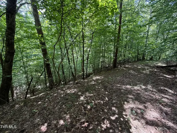 Tbd Mossy Hollow Road, Baneberry, TN 37890
