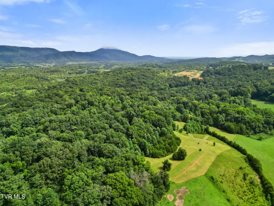 Tbd Barnside Lane, Greeneville, TN 37745 - #2