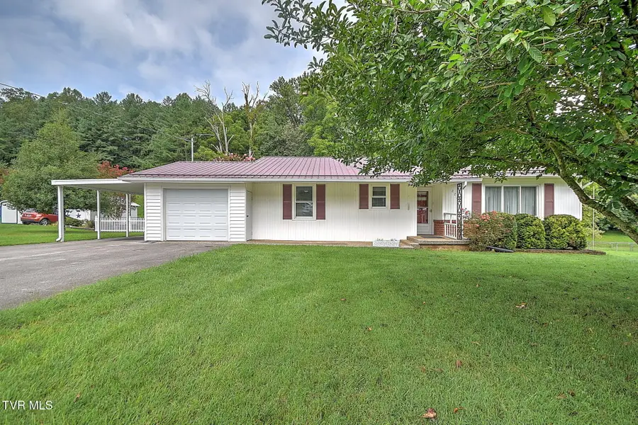 226 Bank Drive, Fall Branch, TN 37656 - #3