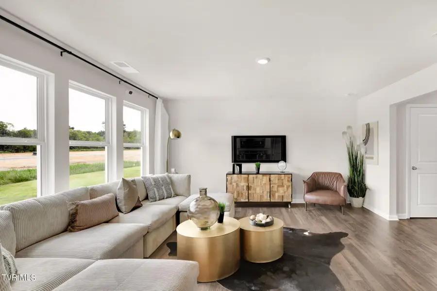 1077 Persimmon Hollow, Greeneville, TN 37745 - #3