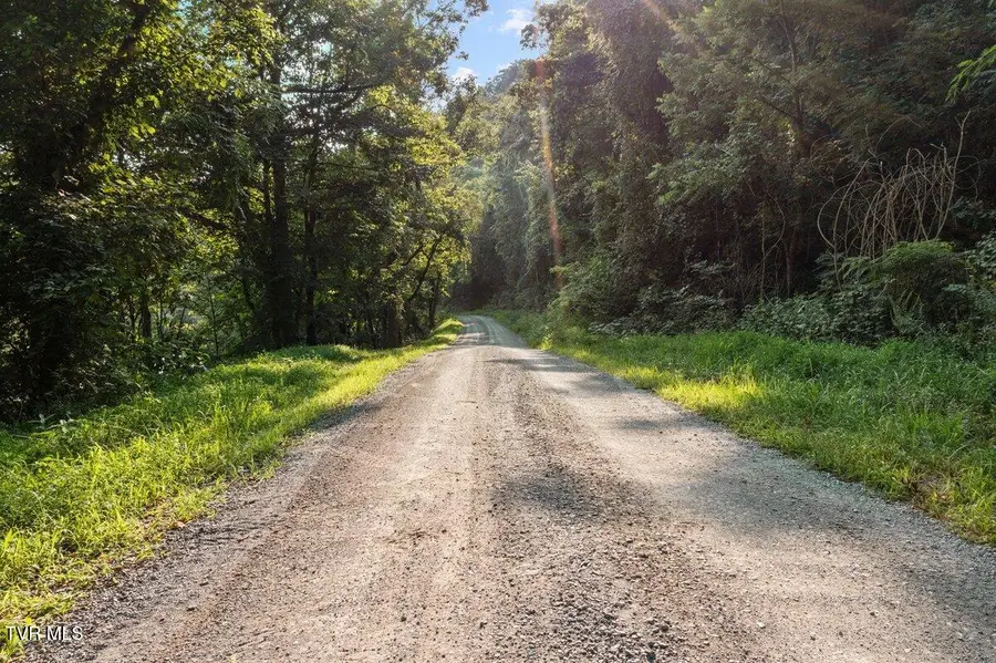 Lot 6 Anglers Way Road, Duffield, VA 24244 - #2