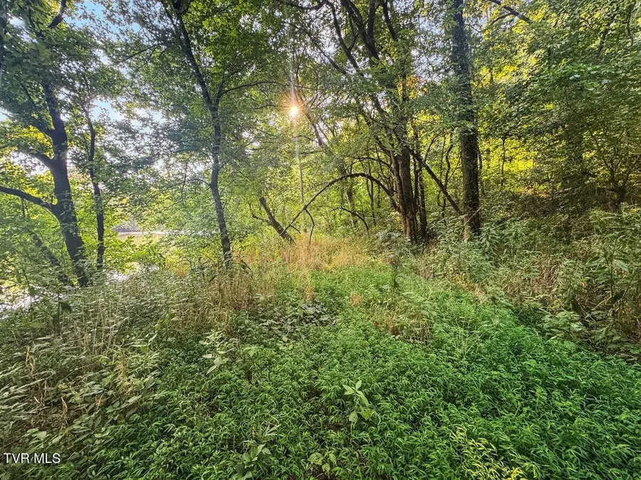 Lot 6 Anglers Way Road, Duffield, VA 24244 - #3