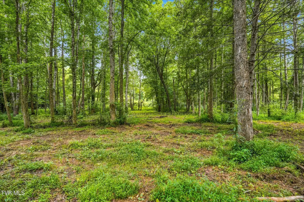 Tbd Mcinturff Springs Road, Erwin, TN 37650 - #1