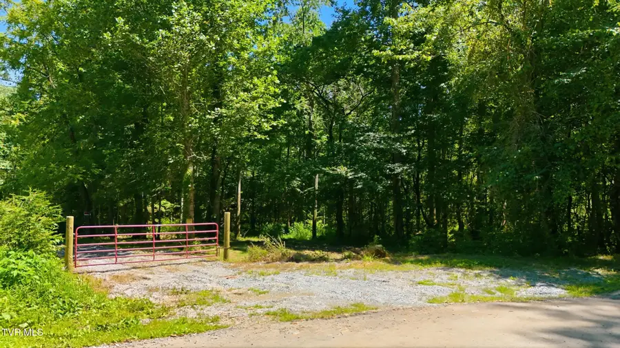 Tbd Mcinturff Springs Road, Erwin, TN 37650 - #3