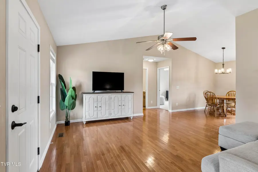 256 Cambridge Grove Way, Jonesborough, TN 37659 - #3