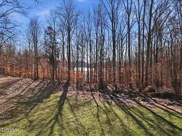 141 Red Cloud Lane, Rutledge, TN 37861