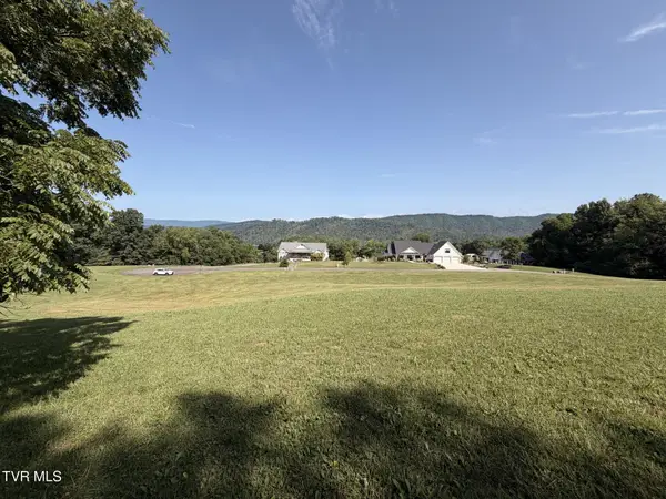 Lot 19 Forest Pointe Road, Butler, TN 37640