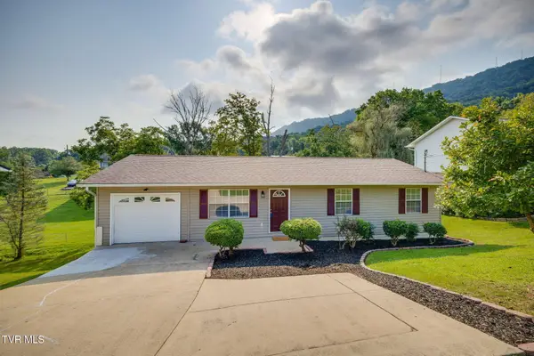 1113 Chippendale Road, Kingsport, TN 37660