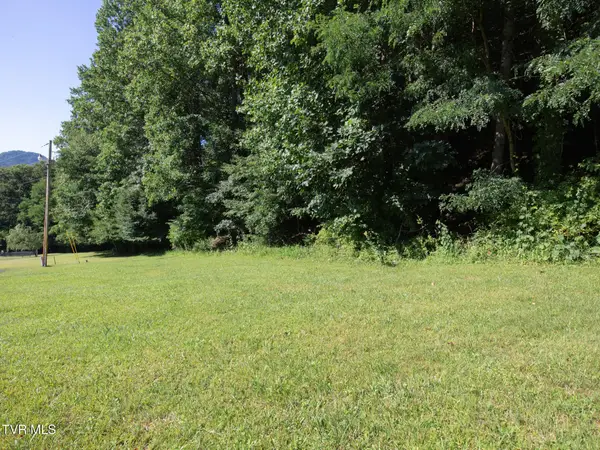 117 Buckner Drive, Roan Mountain, TN 37687