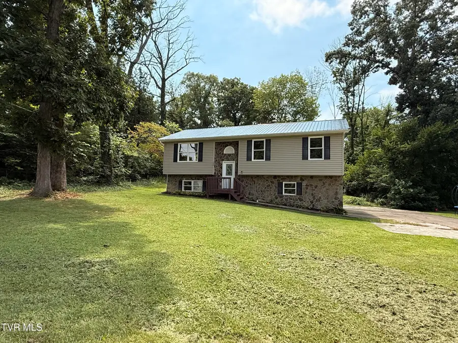 399 Hillcrest Drive, Greeneville, TN 37745 - #3