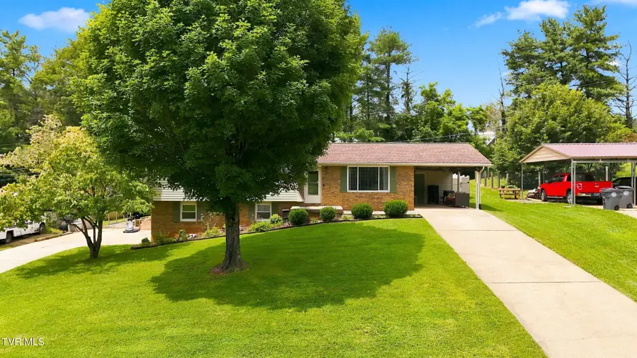 901 Nantucket Avenue, Mount Carmel, TN 37645 - #2