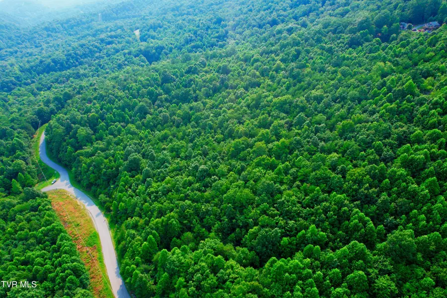 892 Whistle Valley Road, New Tazewell, TN 37825 - #3