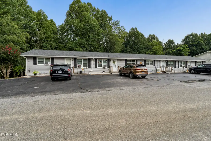 210 Longview Avenue, Jonesborough, TN 37659 - #3