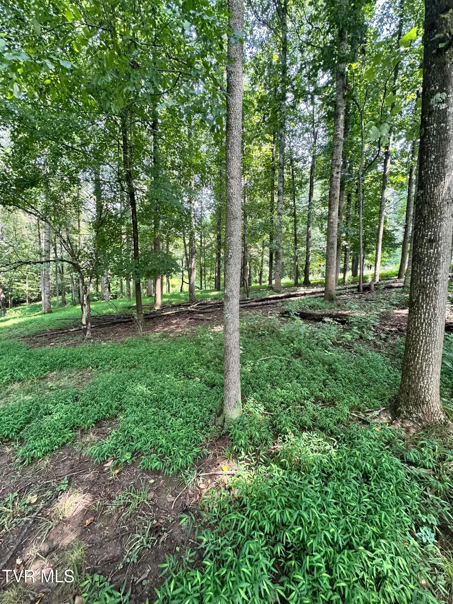 Tbd Main Street, Rogersville, TN 37857 - #3