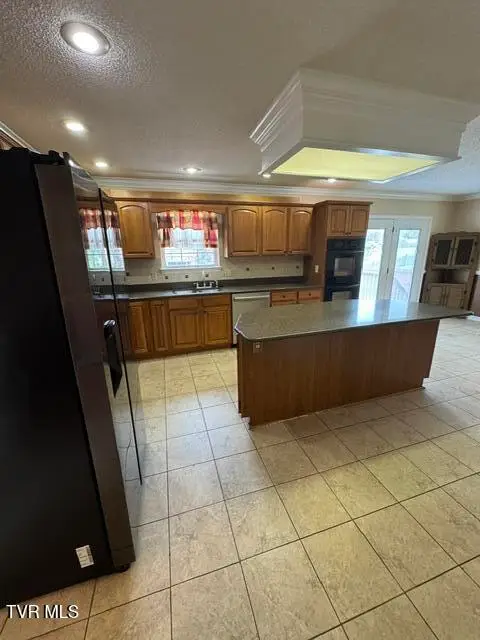 147 Charlton Court, Bluff City, TN 37618 - #3