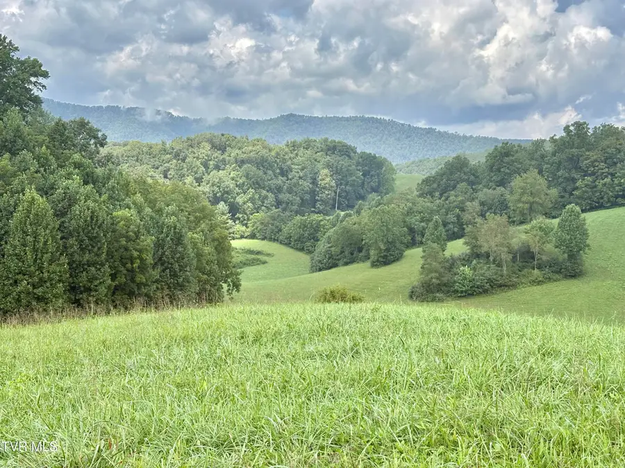 Lot 9 W Of Dry Hill Road, Butler, TN 37640 - #2