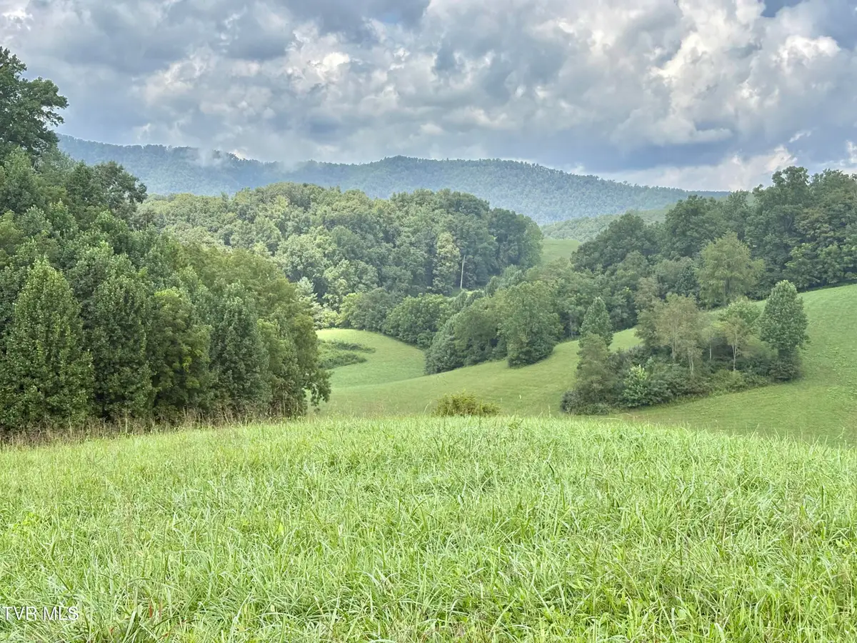 Lot 10 W Of Dry Hill Road, Butler, TN 37640 - #1