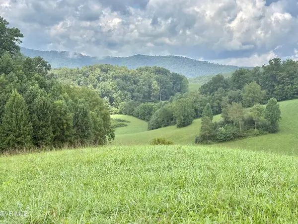 Lot 10 W Of Dry Hill Road, Butler, TN 37640