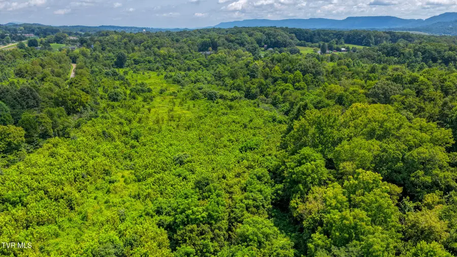 0 Burlington Road, Church Hill, TN 37642 - #3