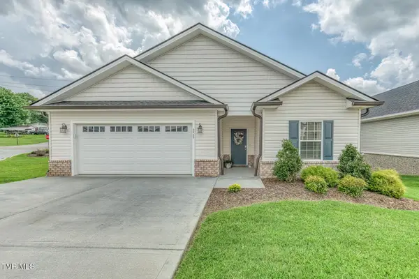 11 Palmetto Court, Gray, TN 37615