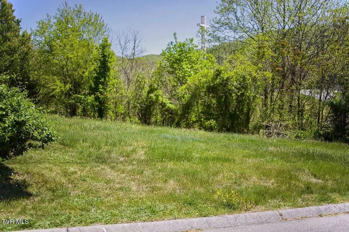 100 Richmond Heights Road, Bristol, TN 37620 - #1