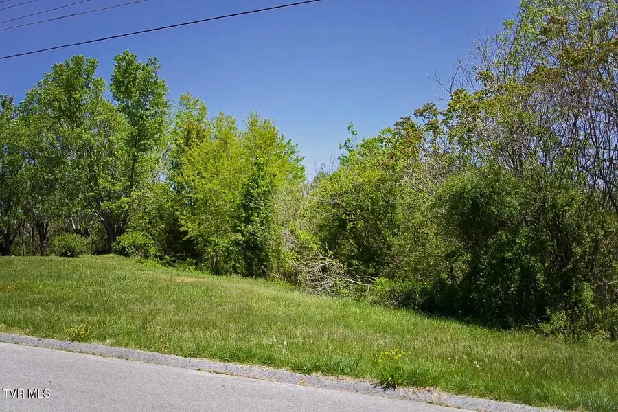 100 Richmond Heights Road, Bristol, TN 37620 - #2