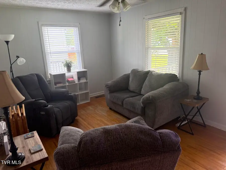 301 Dyer Street, Johnson City, TN 37601 - #2