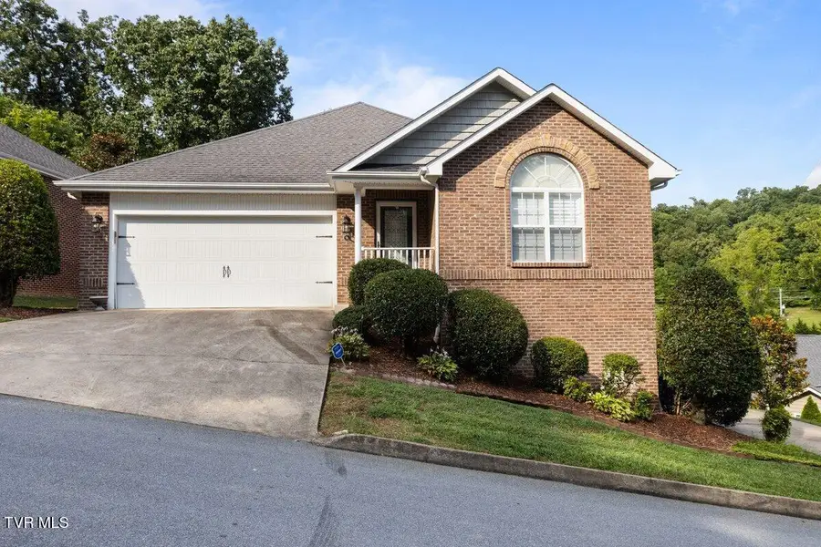 96 Bridgewater Court, Gray, TN 37615 - #2
