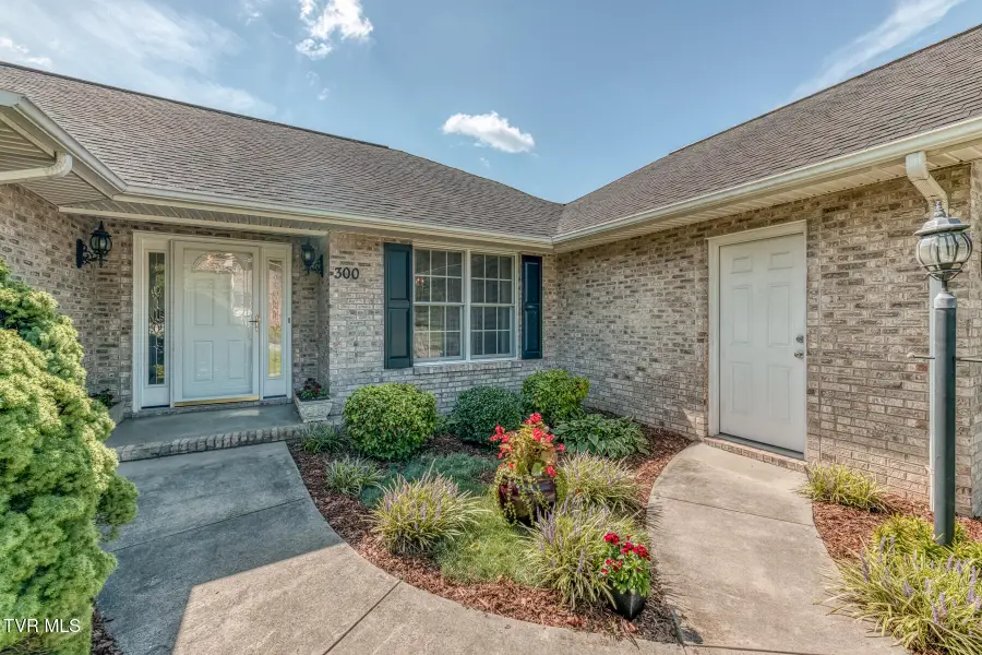 300 Hale Meade Drive, Johnson City, TN 37615 - #2