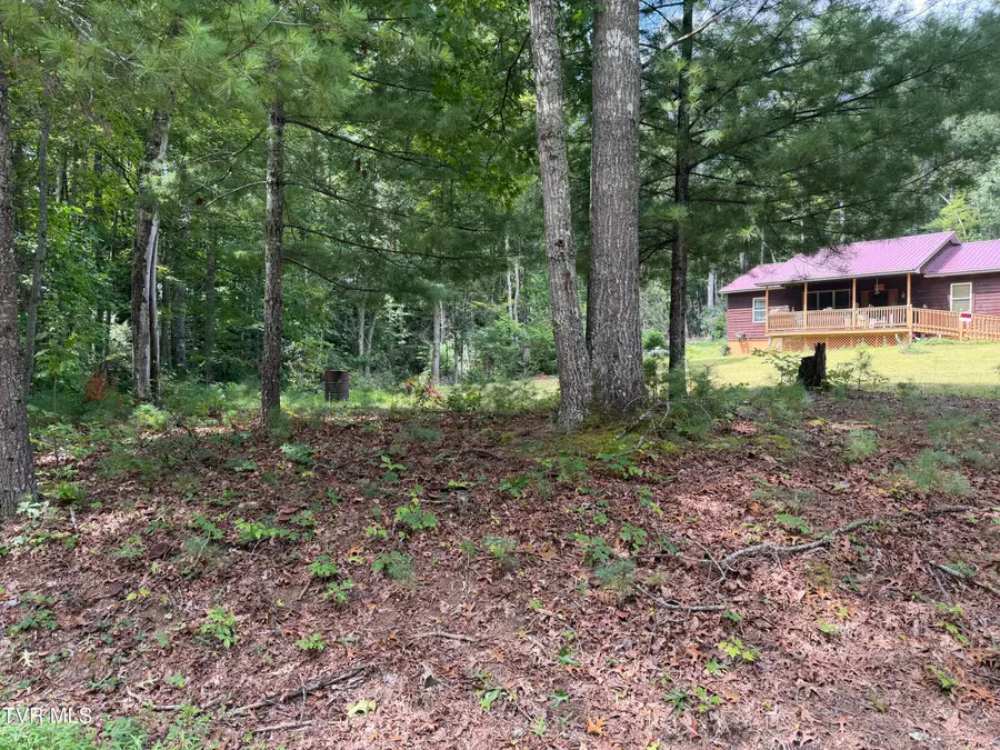 130 Gene Drive, Butler, TN 37640 - #2