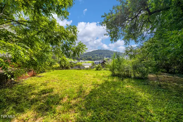 1605 Highpoint Avenue, Kingsport, TN 37665