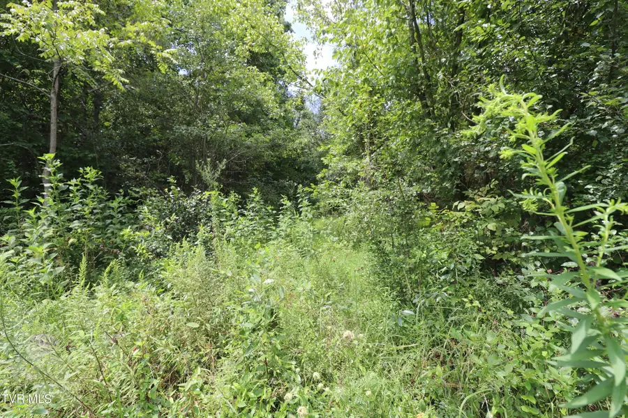 499 Rodefer Hollow Road, Blountville, TN 37617 - #3