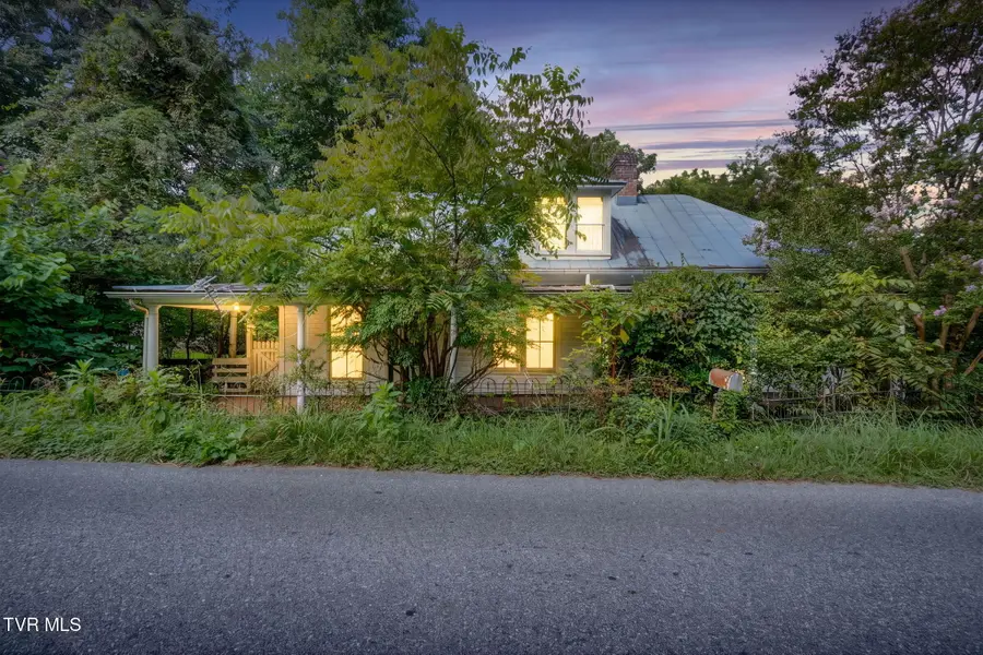 316 South Cherokee Street, Jonesborough, TN 37659 - #3
