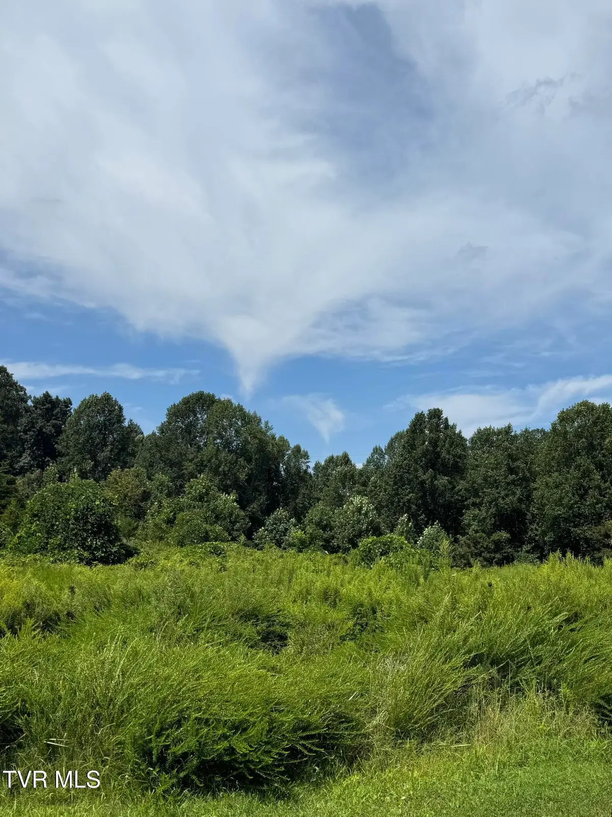 401 Stapleton Drive, Kingsport, TN 37665 - #1