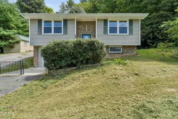 506 Chestnut Drive, Mountain City, TN 37683