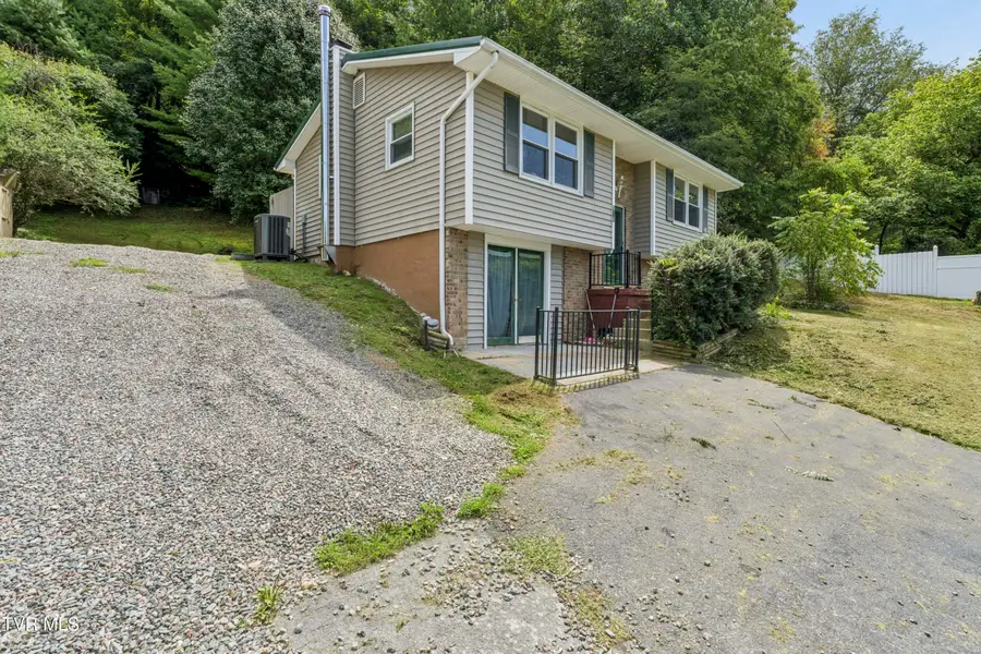 506 Chestnut Drive, Mountain City, TN 37683 - #3
