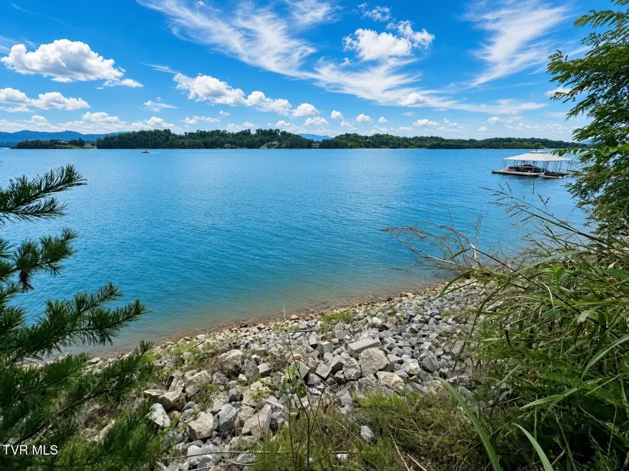 Lot 20 Trotline Road, Dandridge, TN 37725 - #3