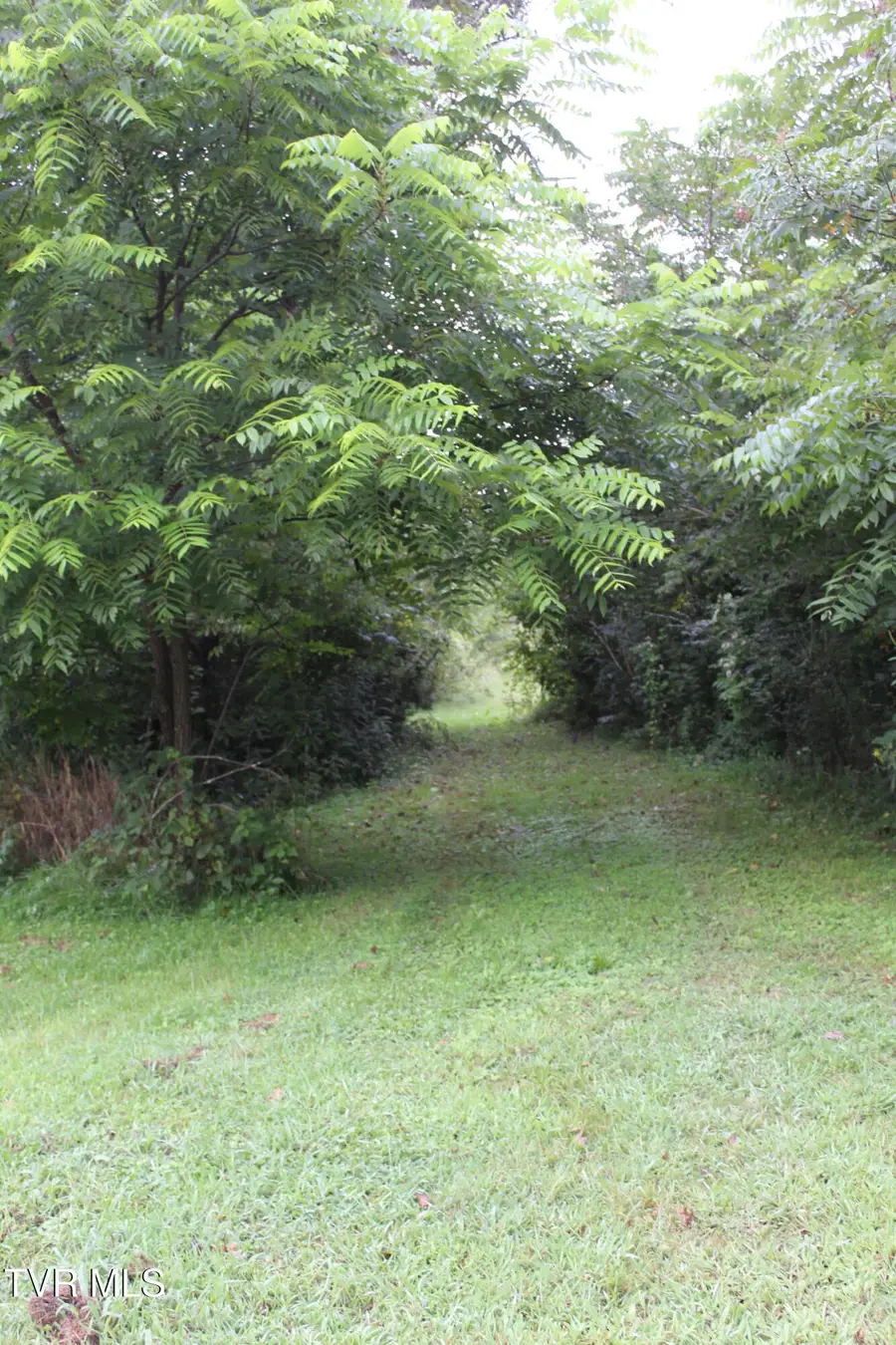 00 Morefield Drive, Pennington Gap, VA 24277 - #2
