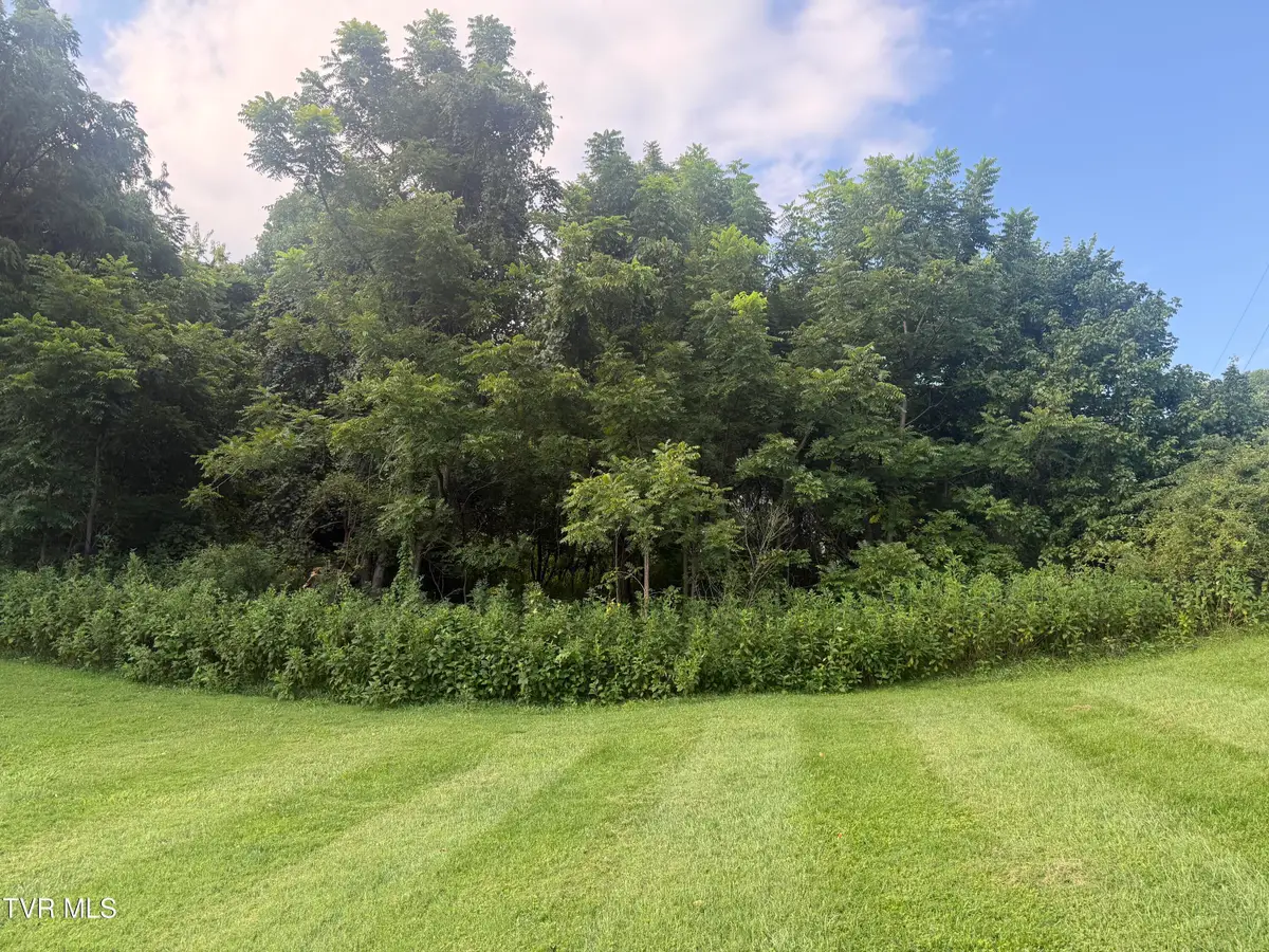 Lot 34 Green Brook Circle, Unicoi, TN 37692 - #1