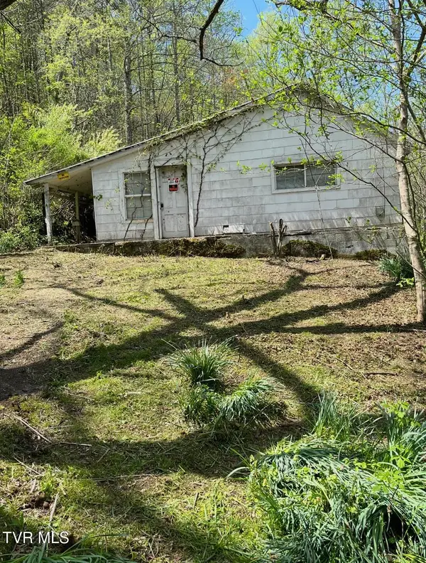272 Ann Goode Cooper Road, Hiltons, VA 24258