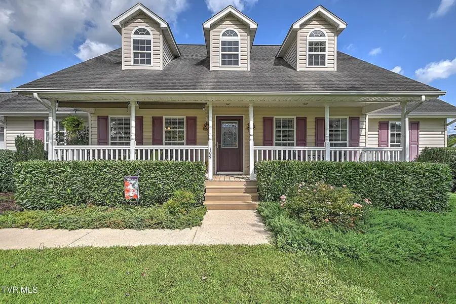 109 Katie Court, Jonesborough, TN 37659 - #2