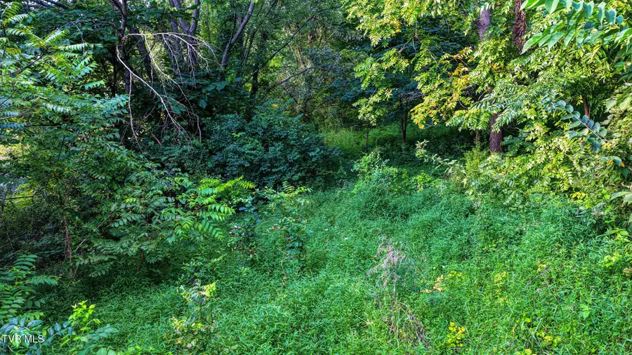 632 North Cherokee Street, Jonesborough, TN 37659 - #2