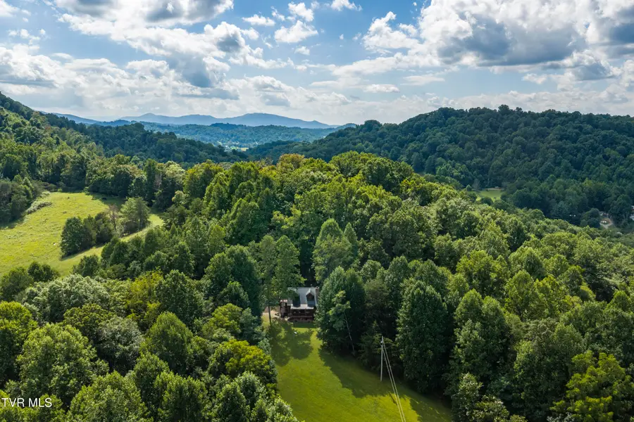 113 Tanner Drive, Elizabethton, TN 37643 - #2